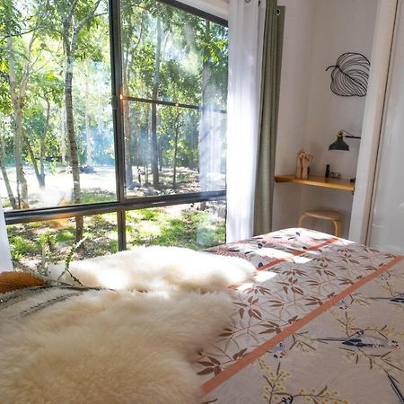 Airlie Beach Eco Cabins - Adults Only Εξωτερικό φωτογραφία
