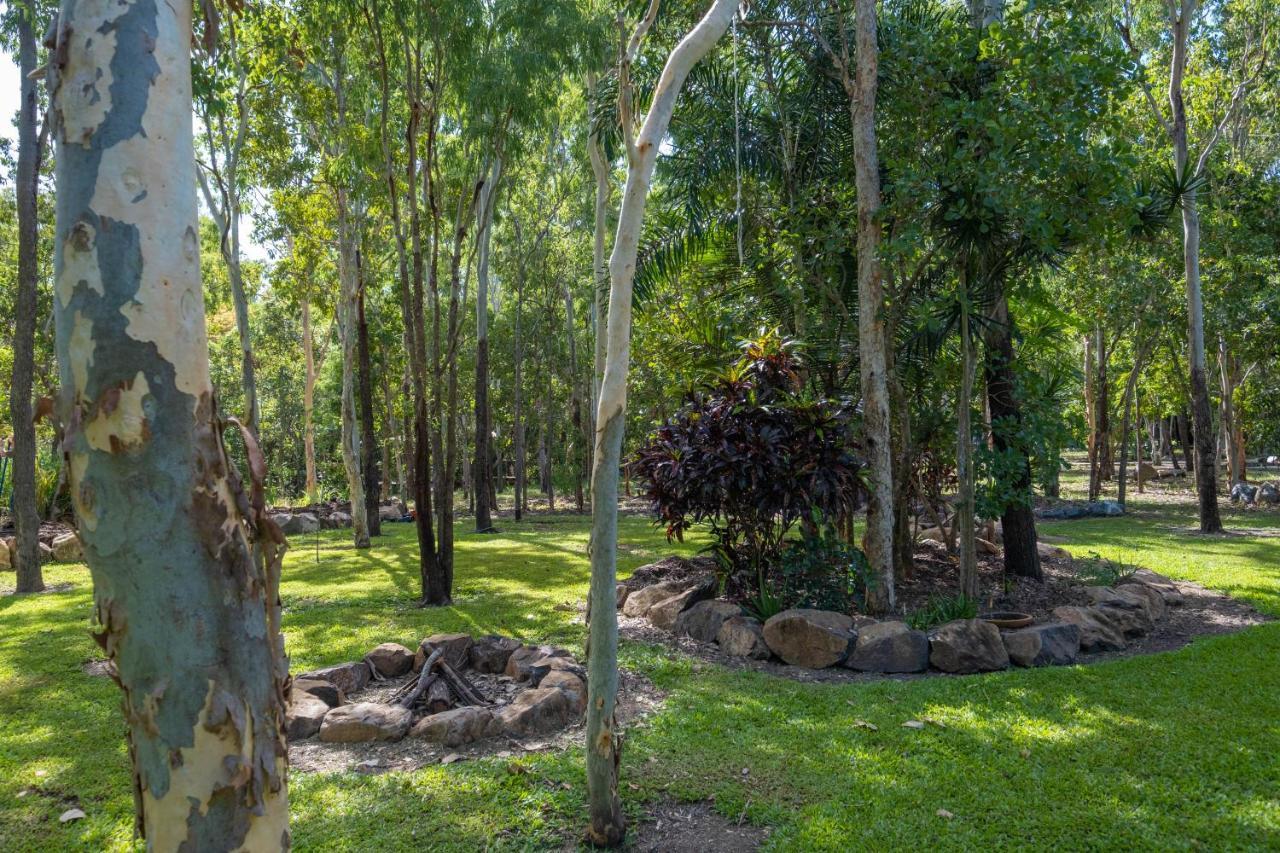 Airlie Beach Eco Cabins - Adults Only Εξωτερικό φωτογραφία